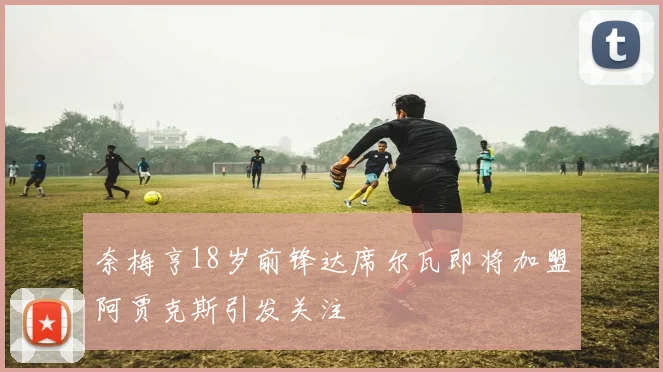 奈梅亨18岁前锋达席尔瓦即将加盟阿贾克斯引发关注
